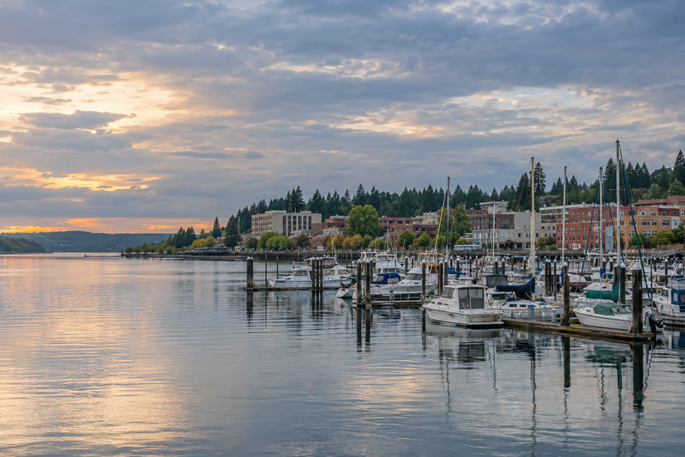A marina at the head of a south Puget Sound inlet with Olympia's low brick downtown behind it