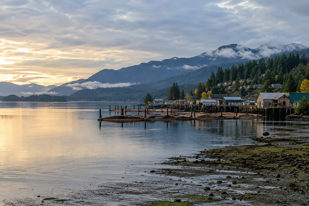 Log booms and tideflats on a quiet bay at Shelton, Olympic foothills behind